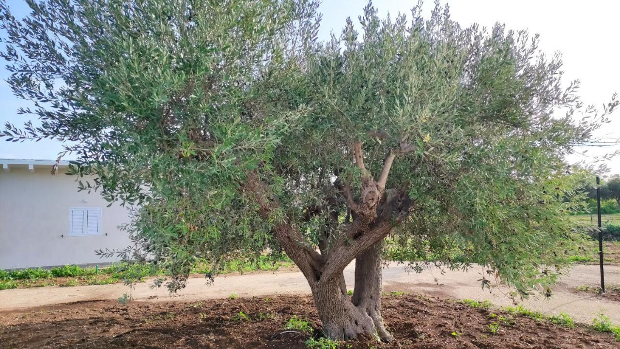 Farm stay Le Zagare Di Vendicari Lido di Noto